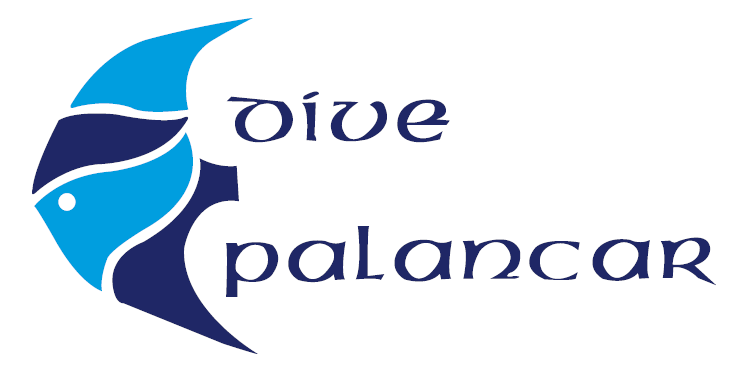 Dive Palancar Logo